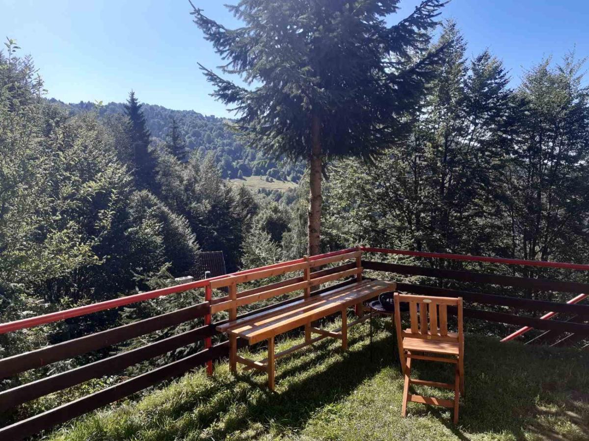 Holiday House Nesovic كوباونيك المظهر الخارجي الصورة