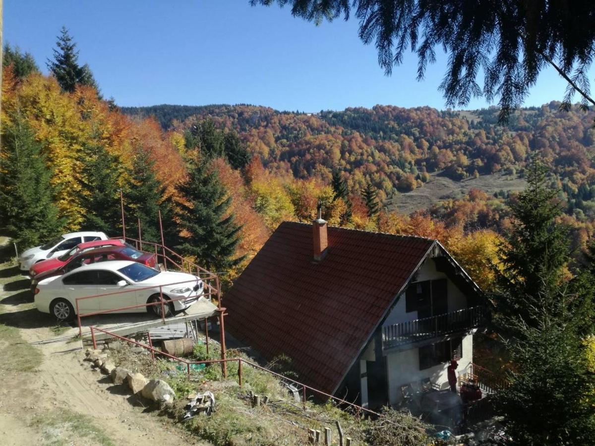 Holiday House Nesovic كوباونيك المظهر الخارجي الصورة