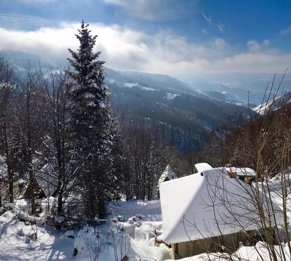 Holiday House Nesovic كوباونيك المظهر الخارجي الصورة