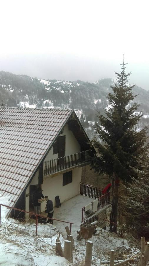 Holiday House Nesovic كوباونيك المظهر الخارجي الصورة