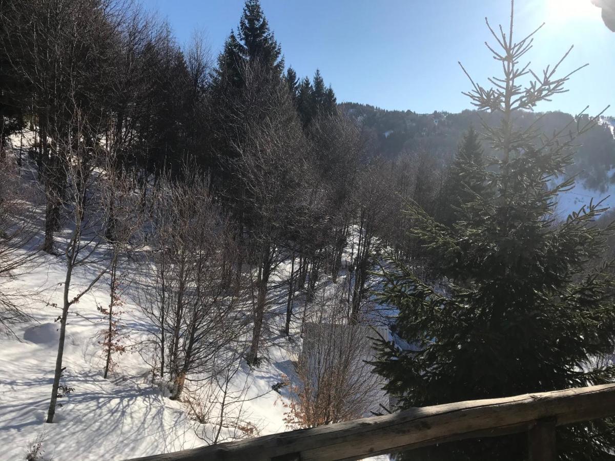 Holiday House Nesovic كوباونيك المظهر الخارجي الصورة