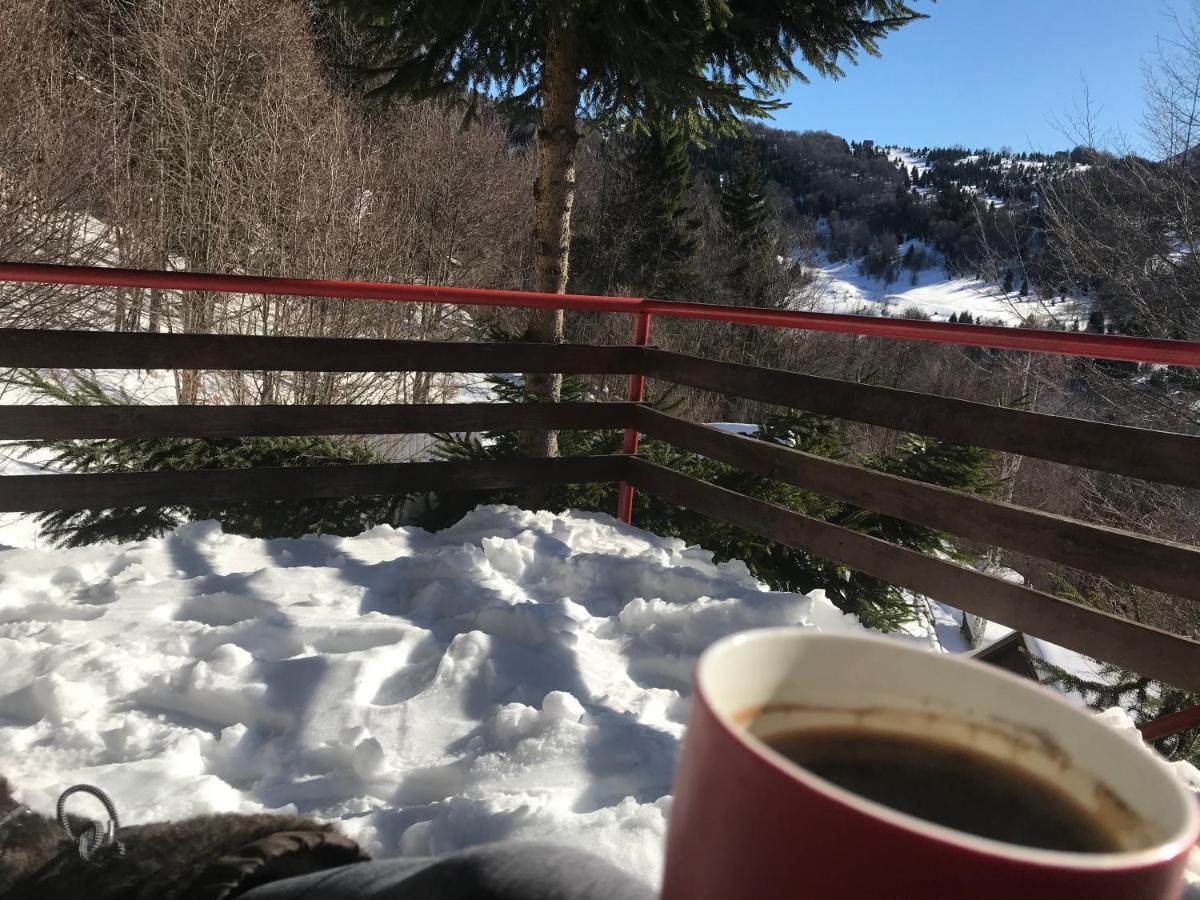 Holiday House Nesovic كوباونيك المظهر الخارجي الصورة