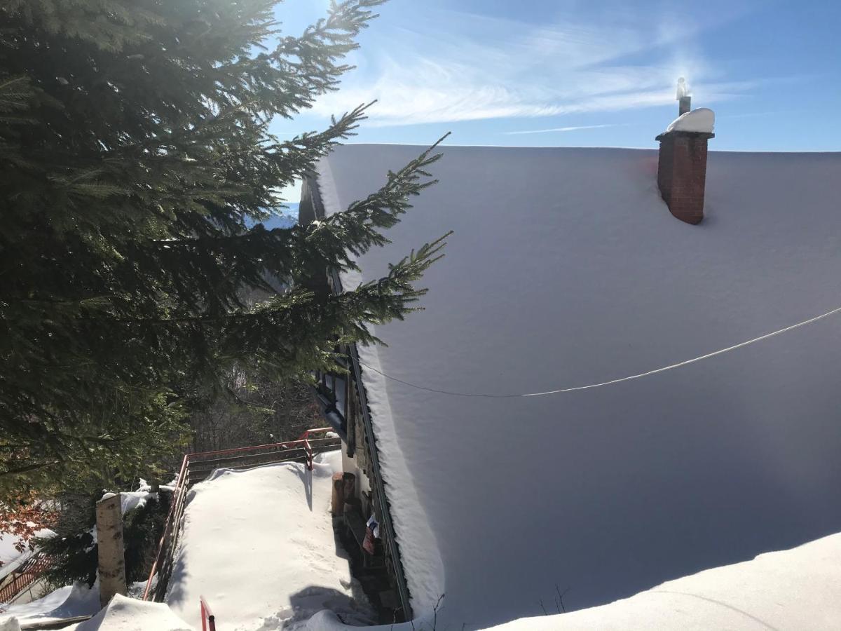 Holiday House Nesovic كوباونيك المظهر الخارجي الصورة