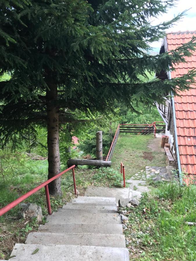Holiday House Nesovic كوباونيك المظهر الخارجي الصورة